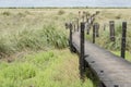 Elevated wooden path over a grassland Royalty Free Stock Photo