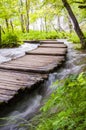 Elevated curved wooden planks path through the rough water streams in Plitvice Royalty Free Stock Photo