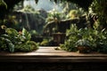 Elevated wooden platform lush green plant strategically placed in backdrop