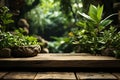 Elevated wooden platform lush green plant strategically placed in backdrop