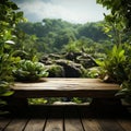 Elevated wooden platform lush green plant strategically placed in backdrop