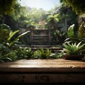 Elevated wooden platform lush green plant strategically placed in backdrop