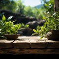 Elevated wooden platform lush green plant strategically placed in backdrop