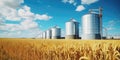 Elevator. Large aluminum silos for storing cereals against the blue sky and voluminous clouds. A field of golden ripe wheat.