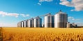 Elevator. Large aluminum silos for storing cereals against the blue sky and voluminous clouds. A field of golden ripe wheat.