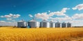 Elevator. Large aluminum silos for storing cereals against the blue sky and voluminous clouds. A field of golden ripe wheat.