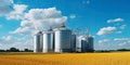 Elevator. Large aluminum silos for storing cereals against the blue sky and voluminous clouds. A field of golden ripe wheat.