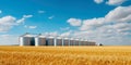 Elevator. Large aluminum silos for storing cereals against the blue sky and voluminous clouds. A field of golden ripe wheat.