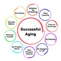 Approaches to Successful Aging