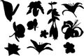 Eleven flower silhouettes