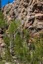 Eleven Mile Canyon Colorado Landscapes Royalty Free Stock Photo