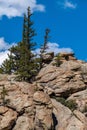 Eleven Mile Canyon Colorado Landscapes Royalty Free Stock Photo