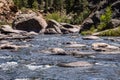 Eleven Mile Canyon Colorado Landscapes Royalty Free Stock Photo