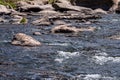 Eleven Mile Canyon Colorado Landscapes Royalty Free Stock Photo