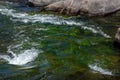 Eleven Mile Canyon Colorado Landscapes Royalty Free Stock Photo