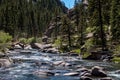 Eleven Mile Canyon Colorado Landscapes Royalty Free Stock Photo