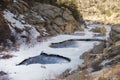 Elevenmile Canyon Recreation Area in Early Spring Royalty Free Stock Photo