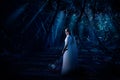 Elf girl in night forest version Royalty Free Stock Photo