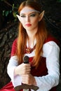 Elf warrior girl Royalty Free Stock Photo