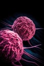 Eliminating Pink Cancer Cells in High Resolution.