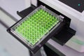 ELISA plate to measure OD with micro plate reader