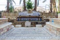 Elisha Spring Fountain, Jericho, Palestine