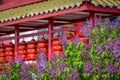 Buddhist drums with a lilac flowers