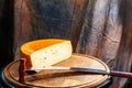 Elite cheese made from unskimmed cow milk Royalty Free Stock Photo