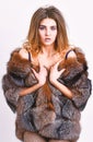 Elite clothes for sensual girl. Fashion luxury design. Girl temptress wear stockings and fur coat. Woman tousled