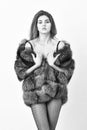 Elite clothes for sensual girl. Fashion luxury design. Woman tousled hairstyle posing lingerie and fur jacket. Girl