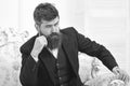 Elite lifestyle concept. Man with beard and mustache wearing classic suit, sits on old fashioned armchair or sofa. Macho Royalty Free Stock Photo