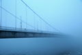 Elizabeth Bridge in mysterious fog over the icy Danube in Budapest, Hungary color photo