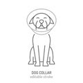 An Elizabethan collar, E collar icon. Pet ruff, dog cone sign. Royalty Free Stock Photo