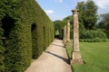 garden pathway and sculptured hedge