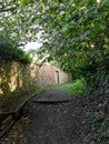 Elizabethern Door 100s of years old on a old disused sunken Lane in Devon uk