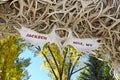 Elk Antler Arch, Jackson Hole Wyoming Royalty Free Stock Photo
