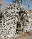 Elk Antler Arche in Jackson Hole