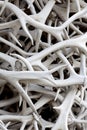 Elk Antlers (background) Royalty Free Stock Photo