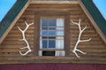 Elk antlers on log cabin Royalty Free Stock Photo