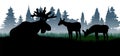 Elk with big antlers and cubs. Glade in coniferous forest. Silhouette picture. Morning fog. Animals in wild. Isolated on Royalty Free Stock Photo