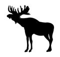 Elk with big antlers male. Silhouette picture. Animals in wild. Isolated on white background. Vector. Royalty Free Stock Photo