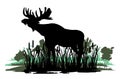 Elk with big antlers male. Silhouette picture. Animals in wild. Reeds graze in swamp. Overgrown river bank. Isolated on Royalty Free Stock Photo