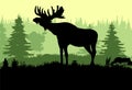 Elk with big antlers male. Silhouette picture. Glade in coniferous forest. Animals in wild. Vector. Royalty Free Stock Photo