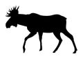 Elk black on white silhouette illustration