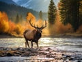 Ai Generated illustration Wildlife Concept of Elk Bugling While Crossing River