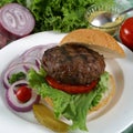 Elk burger