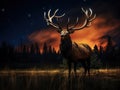 Elk (Cervus canadensis) Wyoming Royalty Free Stock Photo