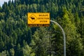 Elk crossing the road caution sign Royalty Free Stock Photo