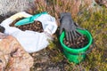 Elk droppings picked in a bag and bucket in the forest Royalty Free Stock Photo