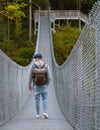 Elk Falls Provincial Park Campbell river with suspension bridge Vancouver Island Canada, men in the park Royalty Free Stock Photo